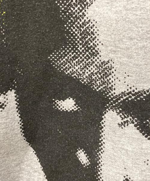 a elegantes sapeur（エレガンティス サプール）a elegantes sapeur (エレガンティス サプール) プルオーバーパーカー グレー サイズ:Lサイズの古着・服飾アイテム