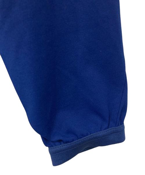 DESCENTE（デサント）DESCENTE (デサント) ジップジャケット ブルー×ホワイト サイズ:L 未使用品の古着・服飾アイテム