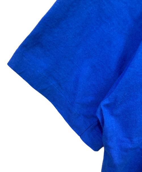 FRUIT OF THE LOOM（フルーツオブザルーム）FRUIT OF THE LOOM (フルーツオブザルーム) 半袖カットソー ブルー サイズ:Lの古着・服飾アイテム