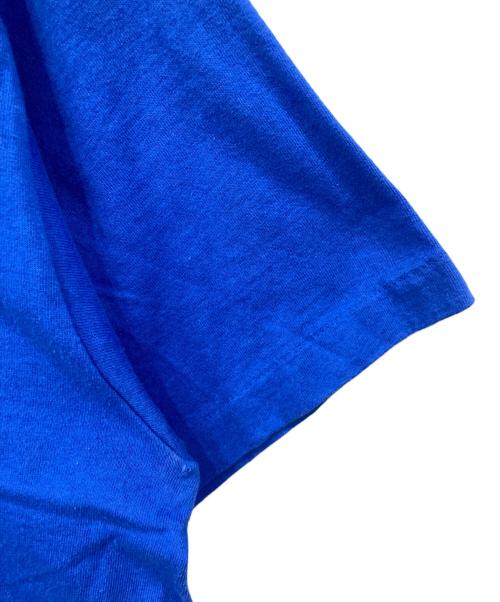 FRUIT OF THE LOOM（フルーツオブザルーム）FRUIT OF THE LOOM (フルーツオブザルーム) 半袖カットソー ブルー サイズ:Lの古着・服飾アイテム