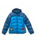 THE NORTH FACE（ザ ノース フェイス）の古着「ダウンジャケット」｜ブルー