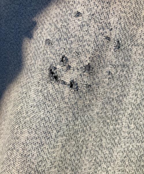 Champion（チャンピオン）Champion (チャンピオン) リバースウィーブスウェット ネイビー サイズ:-の古着・服飾アイテム
