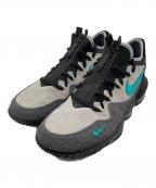 NIKEナイキ）の古着「LEBRON XVI LOW AC」｜ブラック×グレー