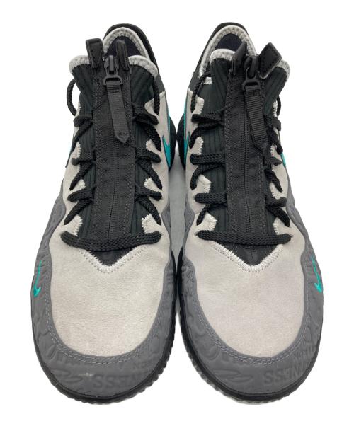 NIKE（ナイキ）NIKE (ナイキ) LEBRON XVI LOW AC ブラック×グレー サイズ:29cmの古着・服飾アイテム