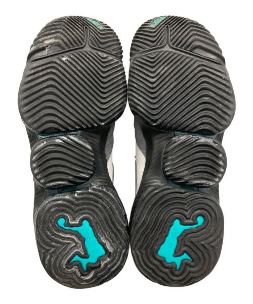 NIKE（ナイキ）NIKE (ナイキ) LEBRON XVI LOW AC ブラック×グレー サイズ:29cmの古着・服飾アイテム
