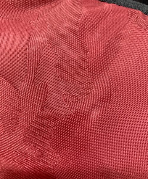 HAKUBA（ハクバ）HAKUBA (ハクバ) カメラリュック レッドの古着・服飾アイテム