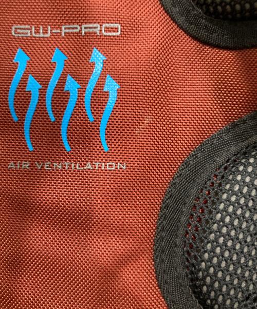 HAKUBA（ハクバ）HAKUBA (ハクバ) カメラリュック レッドの古着・服飾アイテム