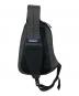 Patagonia (パタゴニア) Ultralight Black Hole Sling ブラック：5000円