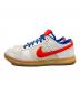 NIKE (ナイキ) Dunk Low Year of the Rabbit 