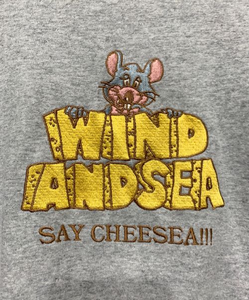 WIND AND SEA（ウィンダンシー）WIND AND SEA (ウィンダンシー) 半袖カットソー グレー サイズ:Mサイズの古着・服飾アイテム