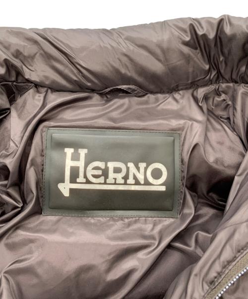 HERNO（ヘルノ）HERNO (ヘルノ) ダウンジャケット ブラウン サイズ:44サイズの古着・服飾アイテム