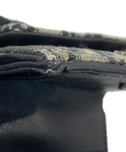 Dior（ディオール）Dior (ディオール) オブリーク ベージュ×ブラックの古着・服飾アイテム