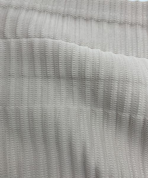 HOMME PLISSE ISSEY MIYAKE（オム プリッセ イッセイ ミヤケ）HOMME PLISSE ISSEY MIYAKE (オムプリッセ イッセイ ミヤケ) プリーツカットソー ベージュ サイズ:SIZE 2の古着・服飾アイテム