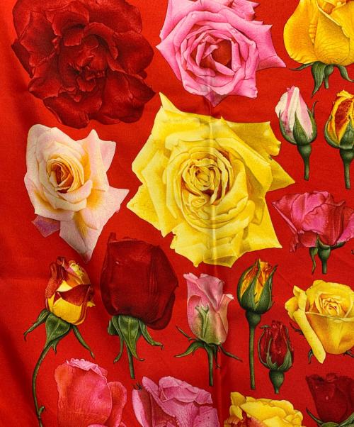 GUCCI（グッチ）GUCCI (グッチ) シルクスカーフ レッドの古着・服飾アイテム