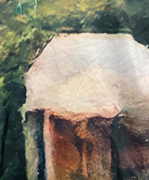 NKGW（エヌケージーダブリュー）NKGW (エヌケージーダブリュー) 長袖ワンピース グリーン×ピンク サイズ:FREEの古着・服飾アイテム