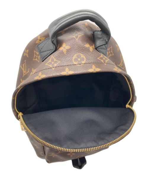 LOUIS VUITTON（ルイ ヴィトン）LOUIS VUITTON (ルイ ヴィトン) リュック ブラウンの古着・服飾アイテム