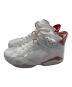 NIKE (ナイキ) Air Jordan 6 