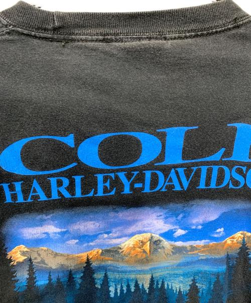 HARLEY-DAVIDSON（ハーレーダビッドソン）HARLEY-DAVIDSON (ハーレーダビッドソン) 半袖カットソー ブラック サイズ:SIZE XLの古着・服飾アイテム