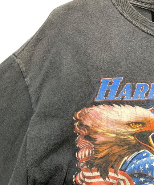 HARLEY-DAVIDSON（ハーレーダビッドソン）HARLEY-DAVIDSON (ハーレーダビッドソン) 半袖カットソー ブラック サイズ:SIZE XLの古着・服飾アイテム