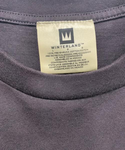 WINTERLAND（ウィンターランド）WINTERLAND (ウィンターランド) バンドTシャツ / NIRVANA ブラウン サイズ:SIZE Lの古着・服飾アイテム