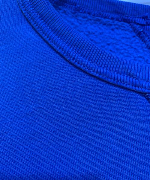 POLO RALPH LAUREN（ポロ・ラルフローレン）POLO RALPH LAUREN (ポロ・ラルフローレン) スウェット ブルー サイズ:SIZE Lの古着・服飾アイテム
