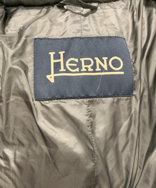 HERNO（ヘルノ）HERNO (ヘルノ) ダウンコート グレー サイズ:48の古着・服飾アイテム