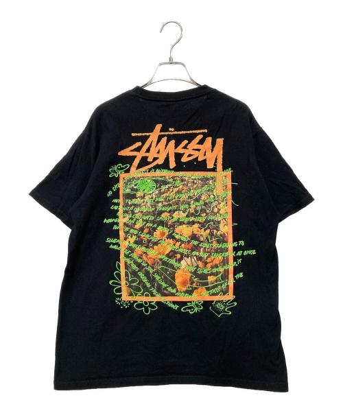 stussy（ステューシー）stussy (ステューシー) 半袖カットソー ブラック サイズ:SIZE Mの古着・服飾アイテム