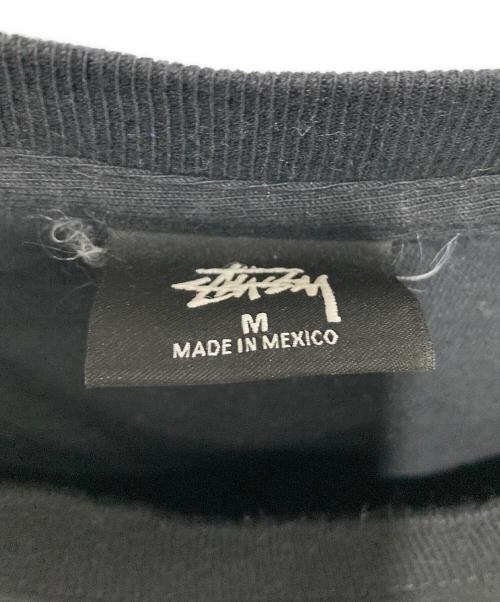 stussy（ステューシー）stussy (ステューシー) 半袖カットソー ブラック サイズ:SIZE Mの古着・服飾アイテム
