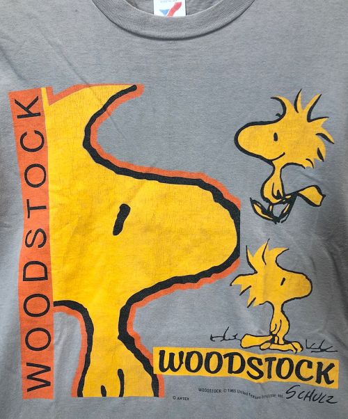 ArteX（アルテックス）ArteX (アルテックス) 半袖カットソー ライトブラウン サイズ:Ｌの古着・服飾アイテム