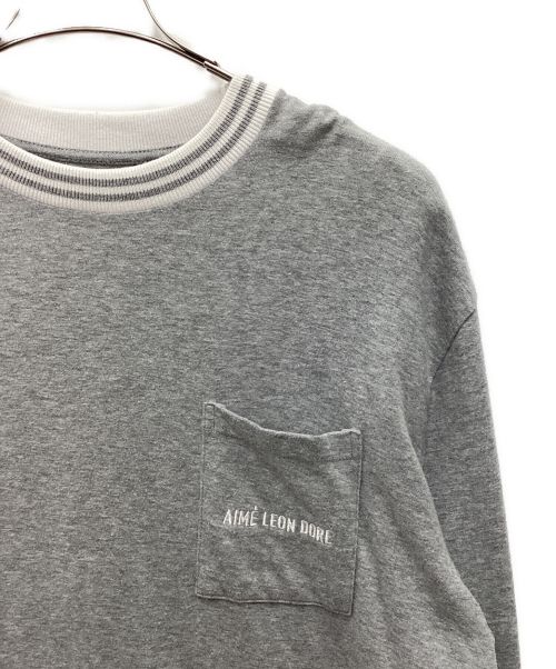 Aime Leon Dore（エメ レオン ドレ）Aime Leon Dore (エメ レオン ドレ) ロングカットソー　18AW グレー×ホワイト サイズ:SIZE 不明の古着・服飾アイテム
