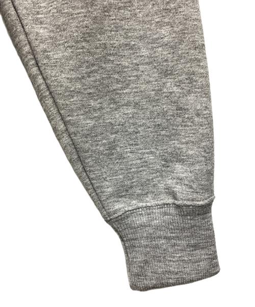 THE NORTH FACE（ザ ノース フェイス）THE NORTH FACE (ザ ノース フェイス) Zoo Picker Hoodie グレー サイズ:SIZE XS 未使用品の古着・服飾アイテム