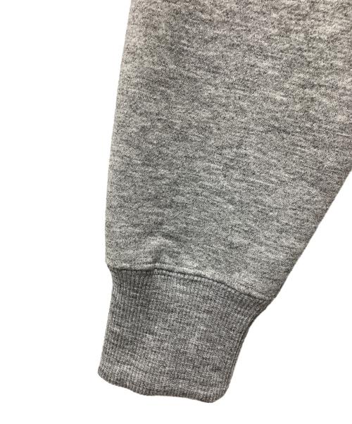 THE NORTH FACE（ザ ノース フェイス）THE NORTH FACE (ザ ノース フェイス) Zoo Picker Hoodie グレー サイズ:SIZE XS 未使用品の古着・服飾アイテム