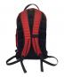 Supreme (シュプリーム) リュック Croc Backpack Bag 13SS ブラック×レッド：9000円