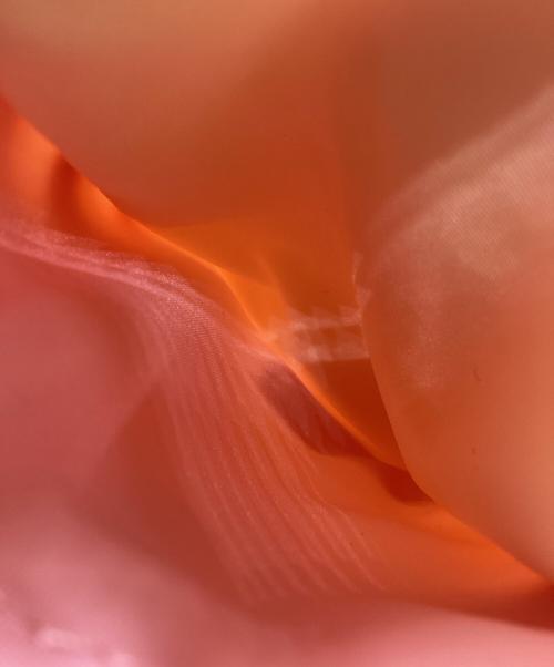 PORTER（ポーター）PORTER (ポーター) モバイルポーチ ベージュの古着・服飾アイテム