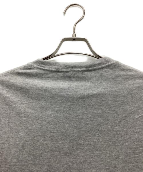 Spick and Span（スピック＆スパン）Spick and Span (スピックアンドスパン) TIGER TEE 半袖カットソー グレー サイズ:SIZE Freeの古着・服飾アイテム