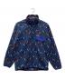 Patagonia SYNCHILLA（パタゴニア シンチラ）の古着「シンチラTスナッププルオーバー」｜スカイブルー