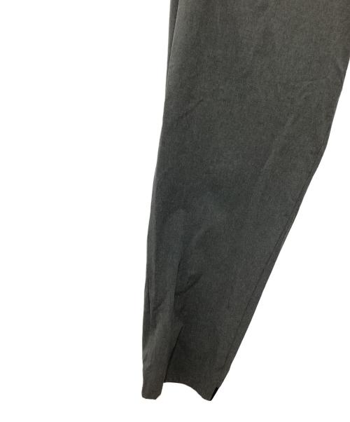 THE NORTH FACE（ザ ノース フェイス）THE NORTH FACE (ザ ノース フェイス) フレキシブルロングパンツ グレー サイズ:SIZE XLの古着・服飾アイテム