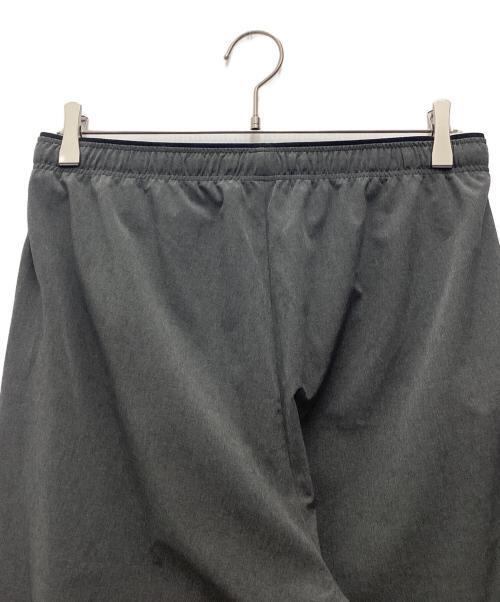 THE NORTH FACE（ザ ノース フェイス）THE NORTH FACE (ザ ノース フェイス) フレキシブルロングパンツ グレー サイズ:SIZE Lの古着・服飾アイテム