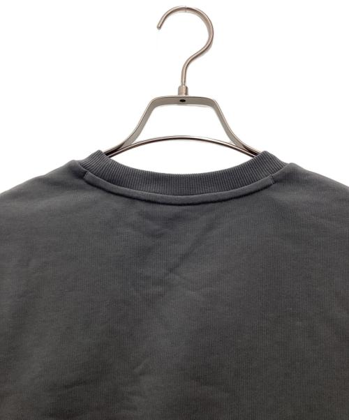 Snow peak（スノーピーク）snow peak (スノーピーク) Land Essential Sweatshirt グレー サイズ:SIZE Mの古着・服飾アイテム