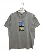 SUPREMEシュプリーム）の古着「Toy Machine Welcome To Hell」｜グレー