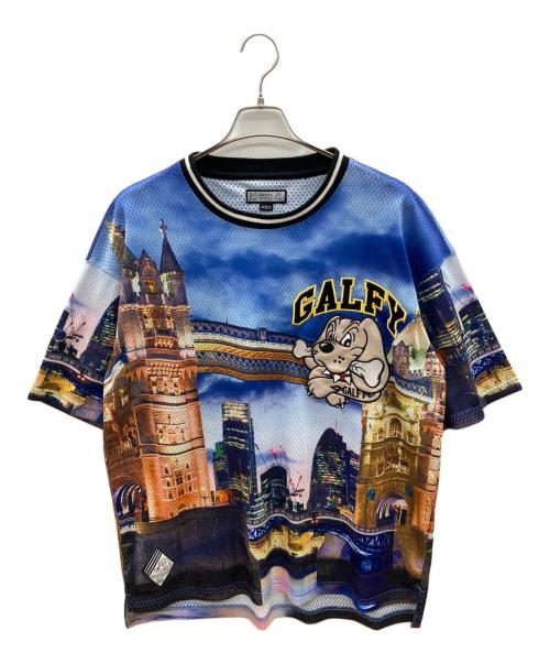GALFY（ガルフィー）GALFY (ガルフィー) メッシュTシャツ マルチカラー サイズ:中型犬（L）の古着・服飾アイテム