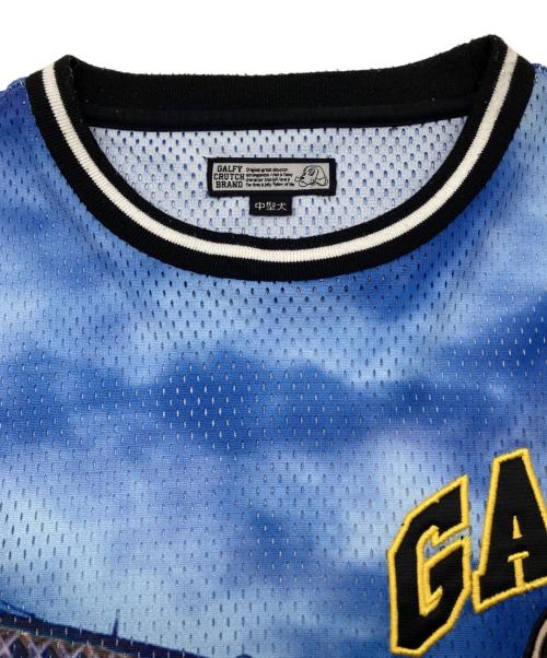 GALFY（ガルフィー）GALFY (ガルフィー) メッシュTシャツ マルチカラー サイズ:中型犬（L）の古着・服飾アイテム