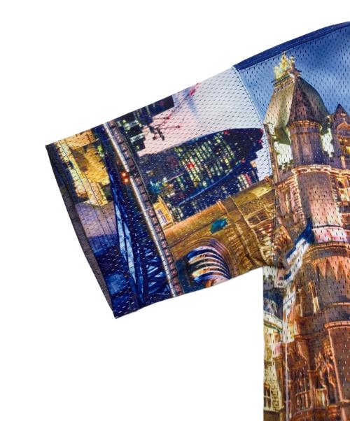 GALFY（ガルフィー）GALFY (ガルフィー) メッシュTシャツ マルチカラー サイズ:中型犬（L）の古着・服飾アイテム