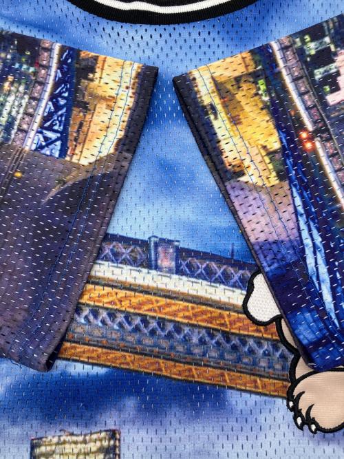 GALFY（ガルフィー）GALFY (ガルフィー) メッシュTシャツ マルチカラー サイズ:中型犬（L）の古着・服飾アイテム