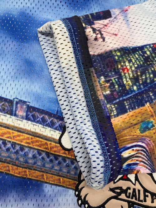 GALFY（ガルフィー）GALFY (ガルフィー) メッシュTシャツ マルチカラー サイズ:中型犬（L）の古着・服飾アイテム