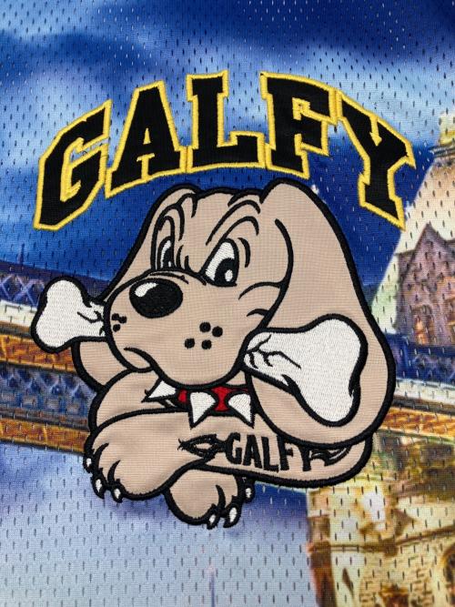 GALFY（ガルフィー）GALFY (ガルフィー) メッシュTシャツ マルチカラー サイズ:中型犬（L）の古着・服飾アイテム