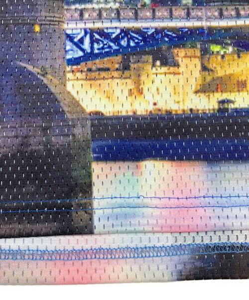 GALFY（ガルフィー）GALFY (ガルフィー) メッシュTシャツ マルチカラー サイズ:中型犬（L）の古着・服飾アイテム