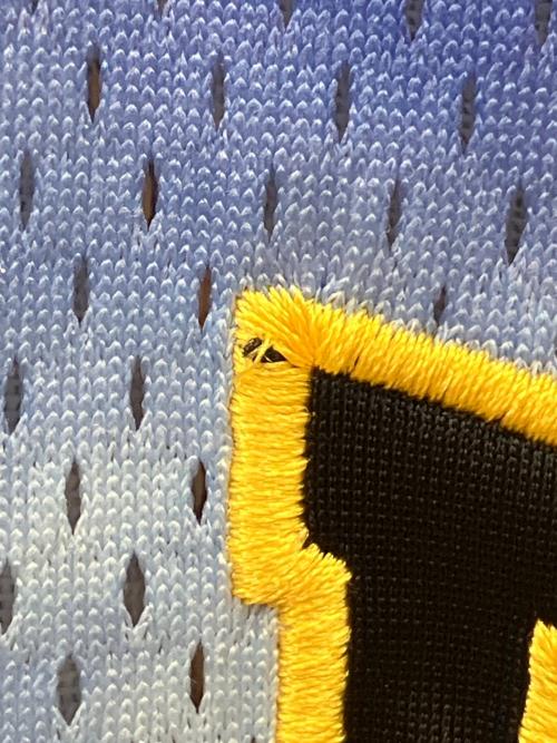 GALFY（ガルフィー）GALFY (ガルフィー) メッシュTシャツ マルチカラー サイズ:中型犬（L）の古着・服飾アイテム