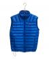 Patagonia（パタゴニア）の古着「Down Sweater Vest」｜ブルー