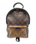 LOUIS VUITTON（ルイ ヴィトン）の古着「パームスプリングPM」｜ブラウン